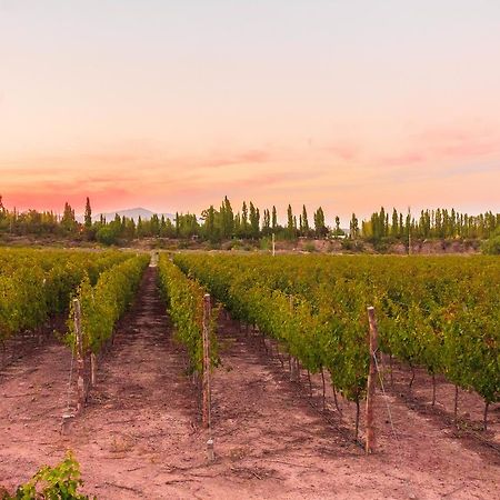 Marale Wines Hotel Boutique Villa Media Agua Ngoại thất bức ảnh