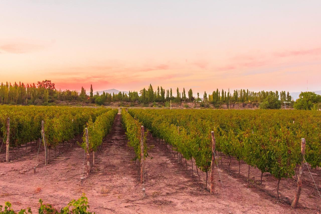Marale Wines Hotel Boutique Villa Media Agua Ngoại thất bức ảnh