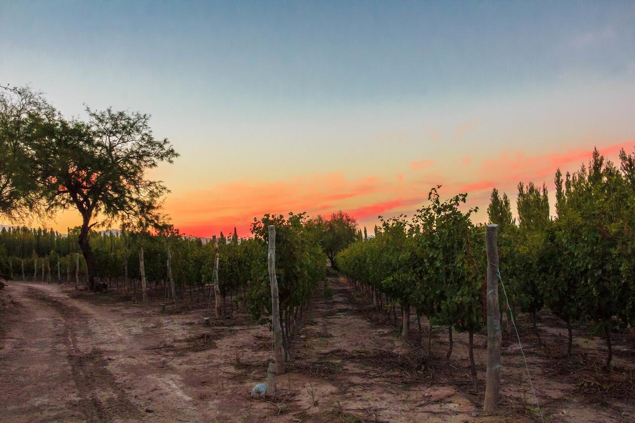 Marale Wines Hotel Boutique Villa Media Agua Ngoại thất bức ảnh