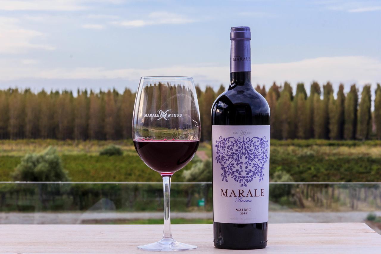Marale Wines Hotel Boutique Villa Media Agua Ngoại thất bức ảnh